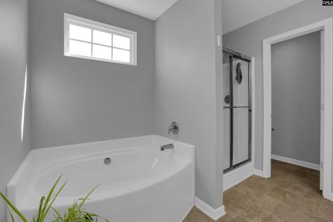 218 Pico Place Lexington SC 29073