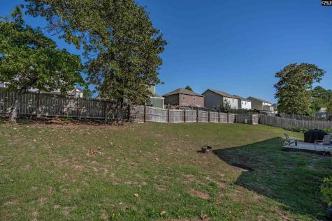 218 Pico Place Lexington SC 29073