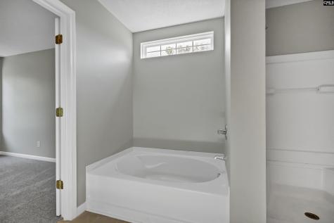 337 Ridgehill Drive Lexington SC 29073