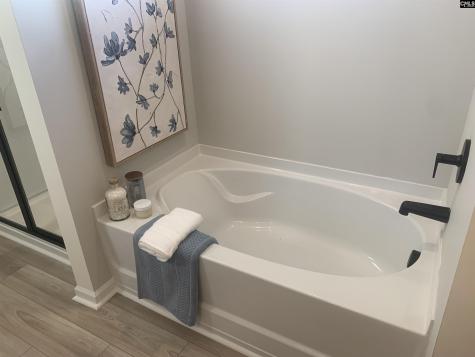 145 Dew Blossom Drive Lexington SC 29073