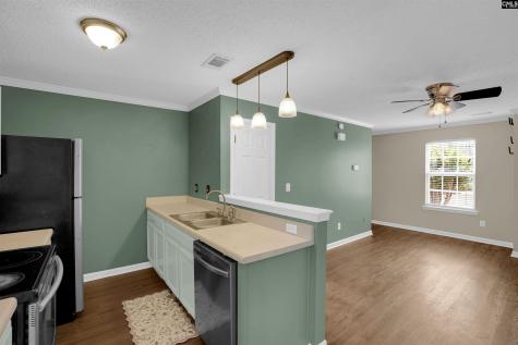 203 E Waverly Place Court Columbia SC 29229