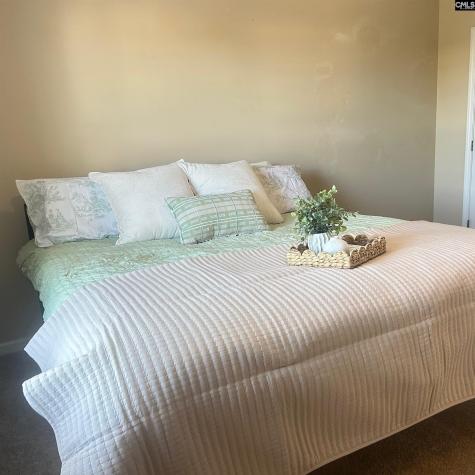 203 E Waverly Place Court Columbia SC 29229