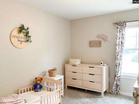 200 Button Willow Street Taylors SC 29687-3577