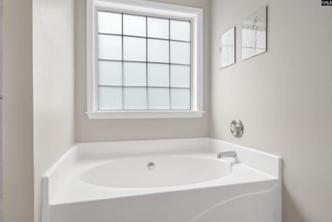5 W Ashford Court Irmo SC 29063