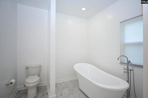 357 Wilson Street Batesburg SC 29006