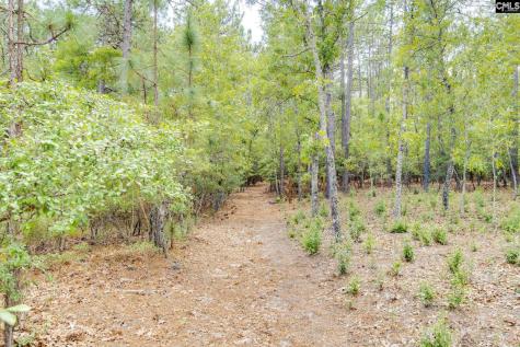 83 Foxwood Lane Camden SC 29020