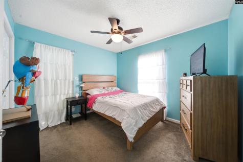 2 Windbreak Court Irmo SC 29063-8079