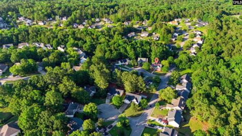 2 Windbreak Court Irmo SC 29063-8079