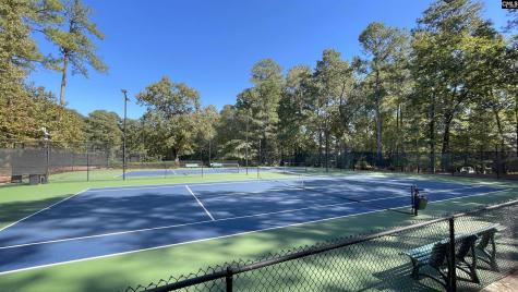 9 Trimblestone Court Columbia SC 29209
