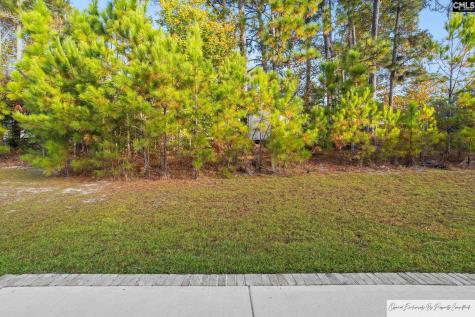 187 Long Iron Court West Columbia SC 29172