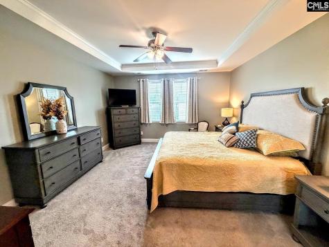 914 Taramore Lane Lexington SC 29072