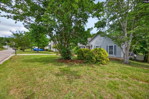217 Kemsing Road Columbia SC 29212-8223