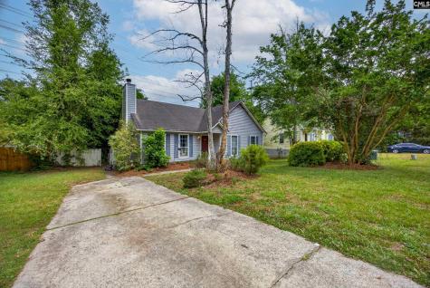 217 Kemsing Road Columbia SC 29212-8223