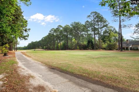 321 Wood Duck Road Columbia SC 29223