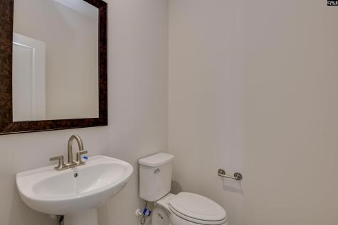 2116 Coral Daisy Trail Lexington SC 29073