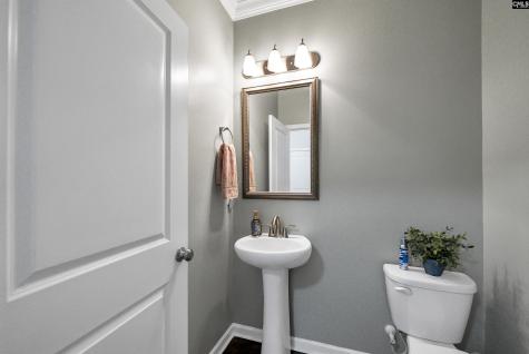 174 Madison Park Drive Lexington SC 29072-7912