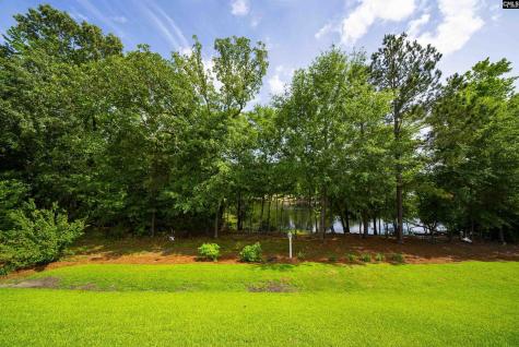 174 Madison Park Drive Lexington SC 29072-7912