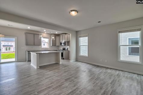 20 Healy Way Blythewood SC 29016