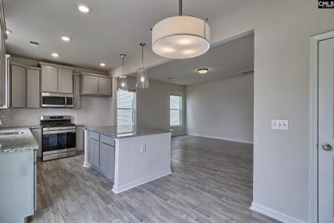 20 Healy Way Blythewood SC 29016