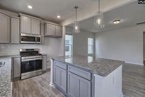 20 Healy Way Blythewood SC 29016