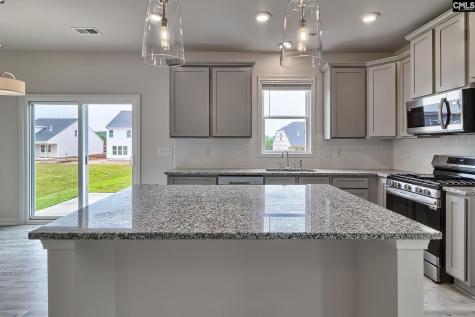 20 Healy Way Blythewood SC 29016