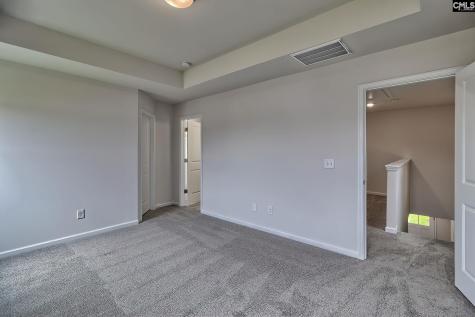 20 Healy Way Blythewood SC 29016