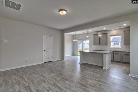 20 Healy Way Blythewood SC 29016