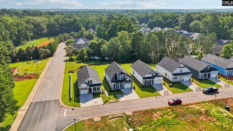 107 Locomotive Lane Irmo SC 29063