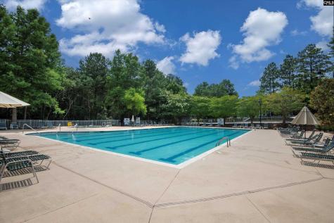 478 Harbour Pointe Drive Columbia SC 29229