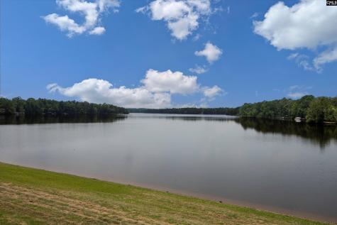 478 Harbour Pointe Drive Columbia SC 29229