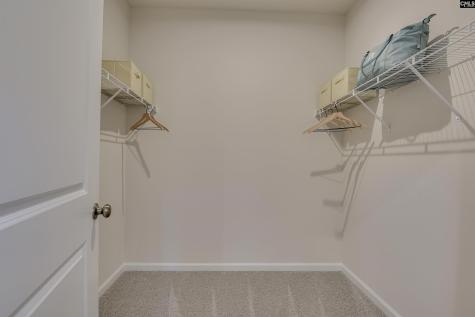 664 Rose Copper Way Lexington SC 29073