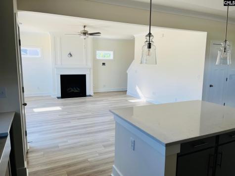 119 Balis Farm Circle Blythewood SC 29016