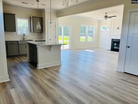119 Balis Farm Circle Blythewood SC 29016