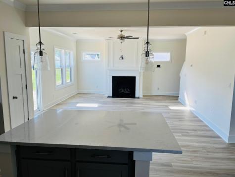 119 Balis Farm Circle Blythewood SC 29016