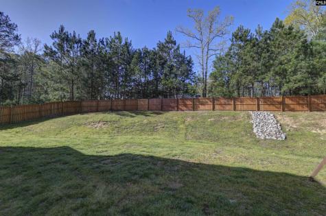 236 Crimson Queen Drive Blythewood SC 29016
