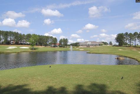 236 Crimson Queen Drive Blythewood SC 29016