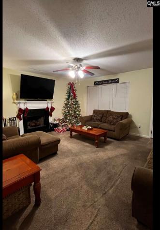 117 Waterville Drive Columbia SC 29229-0000