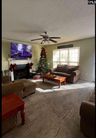 117 Waterville Drive Columbia SC 29229-0000