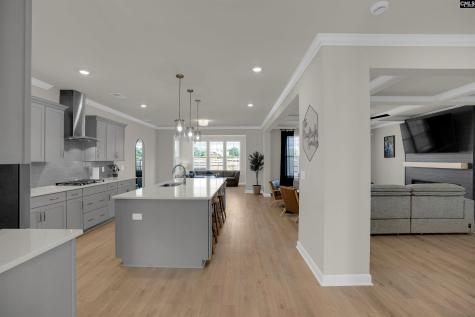 214 Horse Farm Place Lexington SC 29072