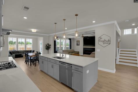 214 Horse Farm Place Lexington SC 29072