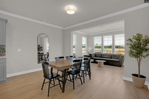 214 Horse Farm Place Lexington SC 29072