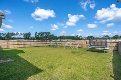 214 Horse Farm Place Lexington SC 29072