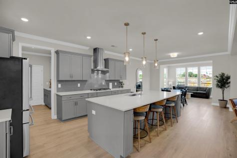 214 Horse Farm Place Lexington SC 29072