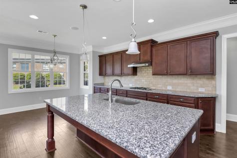 103 Rooster Tail Court Lexington SC 29072