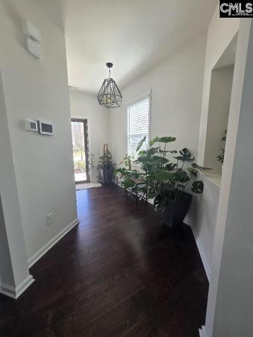 247 Ashewicke Drive Columbia SC 29229