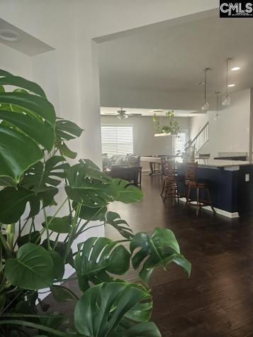 247 Ashewicke Drive Columbia SC 29229