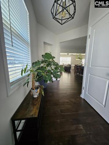 247 Ashewicke Drive Columbia SC 29229