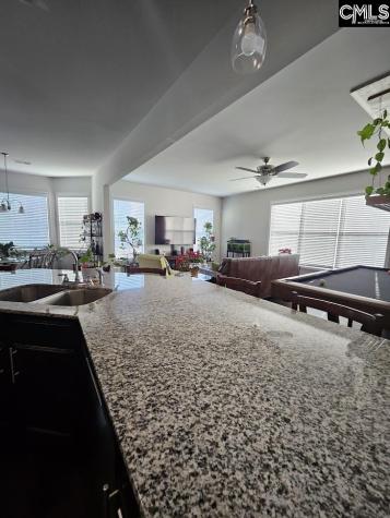 247 Ashewicke Drive Columbia SC 29229