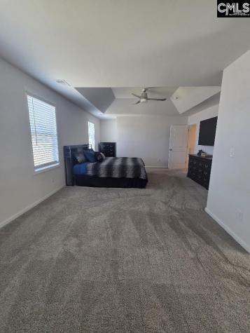 247 Ashewicke Drive Columbia SC 29229