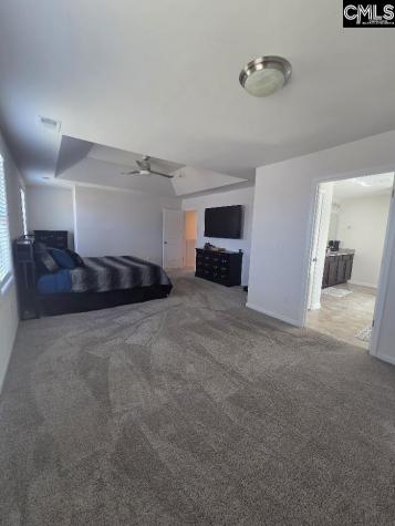 247 Ashewicke Drive Columbia SC 29229